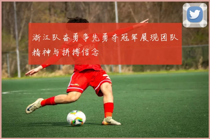 浙江队奋勇争先勇夺冠军展现团队精神与拼搏信念
