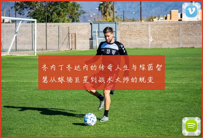 齐内丁齐达内的传奇人生与绿茵智慧从球场巨星到战术大师的蜕变