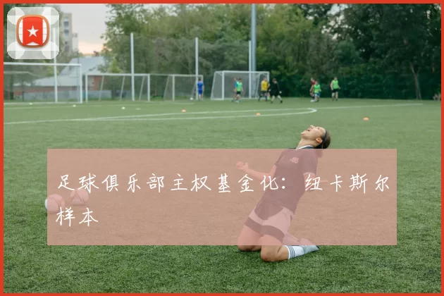 足球俱乐部主权基金化：纽卡斯尔样本