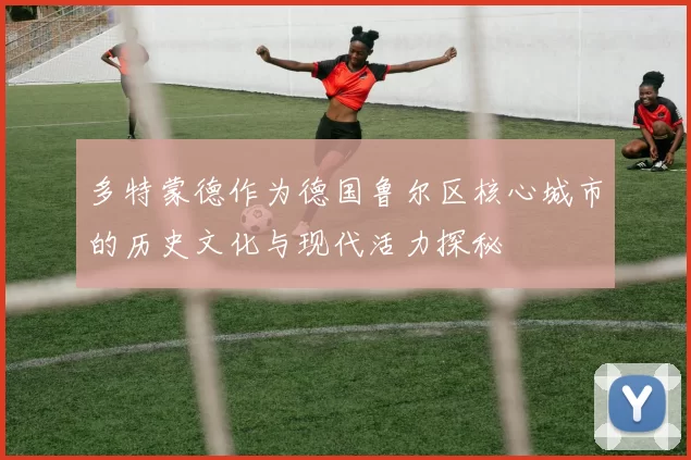 多特蒙德作为德国鲁尔区核心城市的历史文化与现代活力探秘